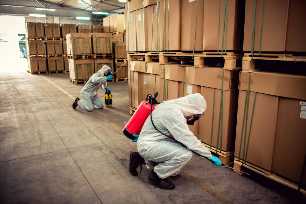 Best Termite Control Services  in Marin City, CA