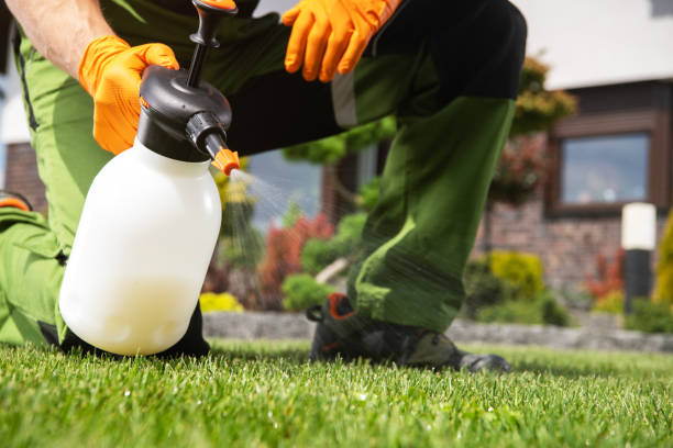 Trusted Marin City, CA Pest Control Experts