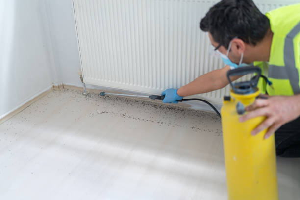 Best Flea Control Services  in Marin City, CA