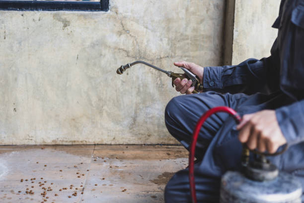 Best Emergency Pest Control  in Marin City, CA